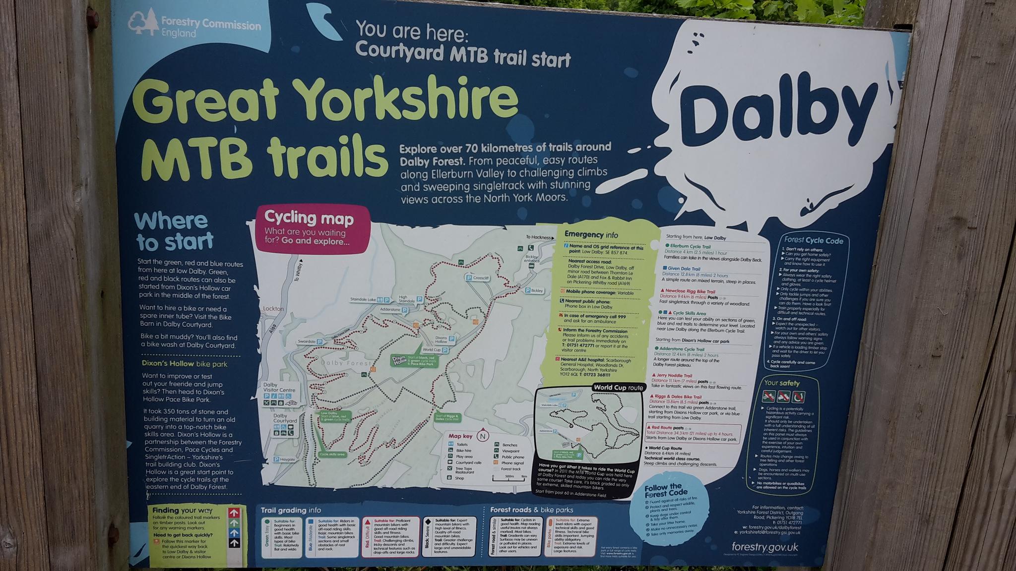 dalby forest bike trails