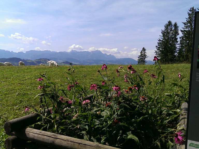 Erlebnisort Waldegg: Wanderungen und Rundwege | komoot