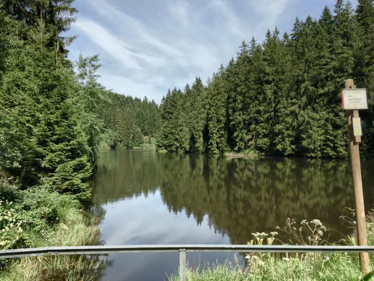 Grumbacher Teich (HWN 113) Harz, SachsenAnhalt Wandertipps & Fotos