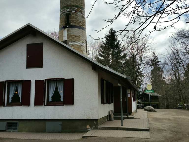 Dünsberg MountainbikeTouren und Trails komoot