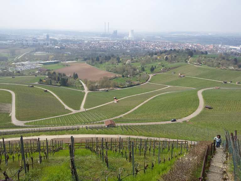 Scheuerberg - Neckarsulm, Heilbronn | Wandertipps & Fotos | Komoot