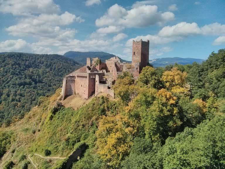Three Castles of Ribeauvillé Trail | hike | Komoot