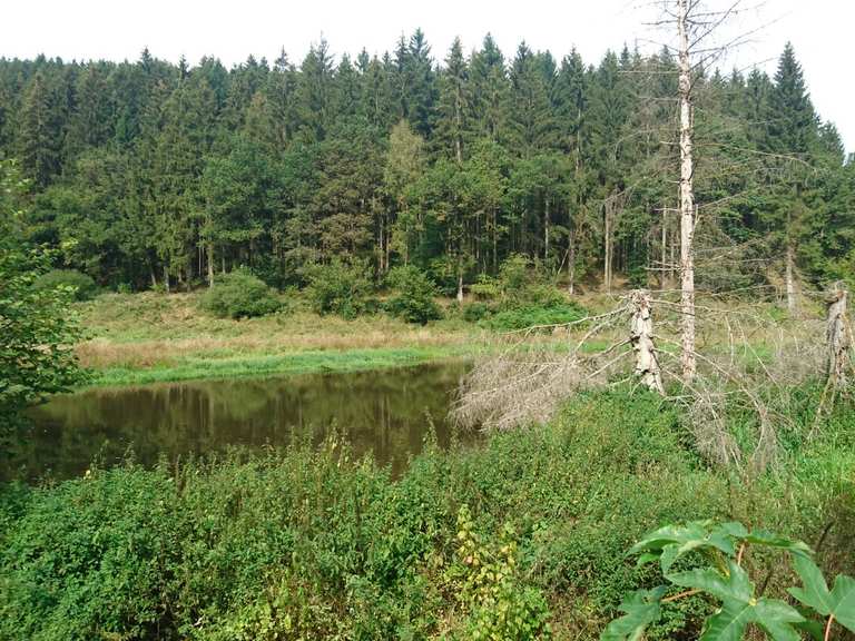 Ancien étang des castors dans la vallée de la Wadrill – Itinéraires ...