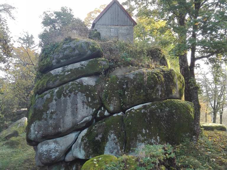 Burgstall Haselstein MountainbikeTouren und Trails komoot