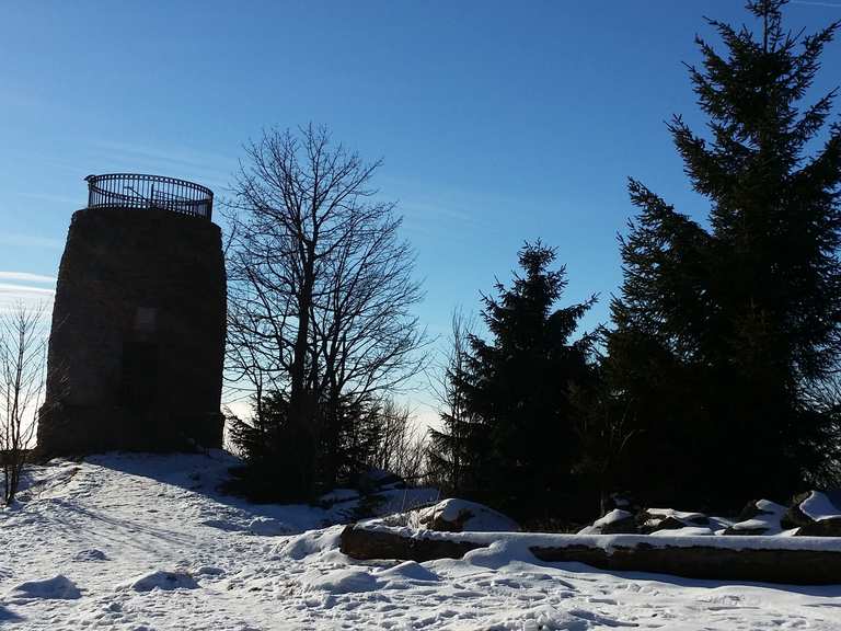 Hirschenstein Wanderungen und Rundwege komoot