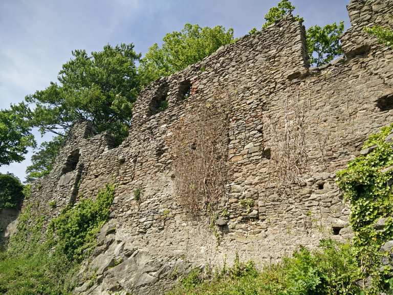 Hohenkrähen Wanderungen und Rundwege komoot