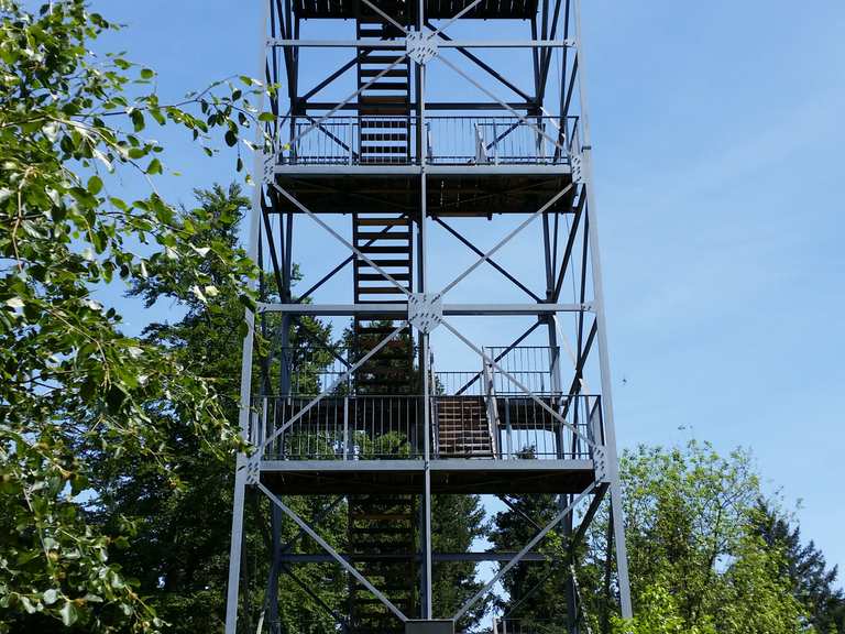 Hohes Horn mit Aussichtsturm Wanderungen und Rundwege komoot