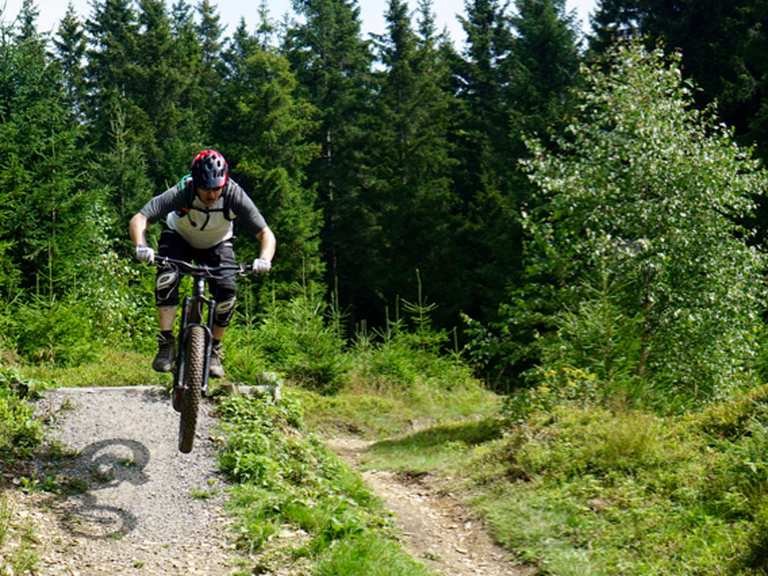 Trailcenter Rabenberg: Mountainbike-Touren und -Trails | komoot