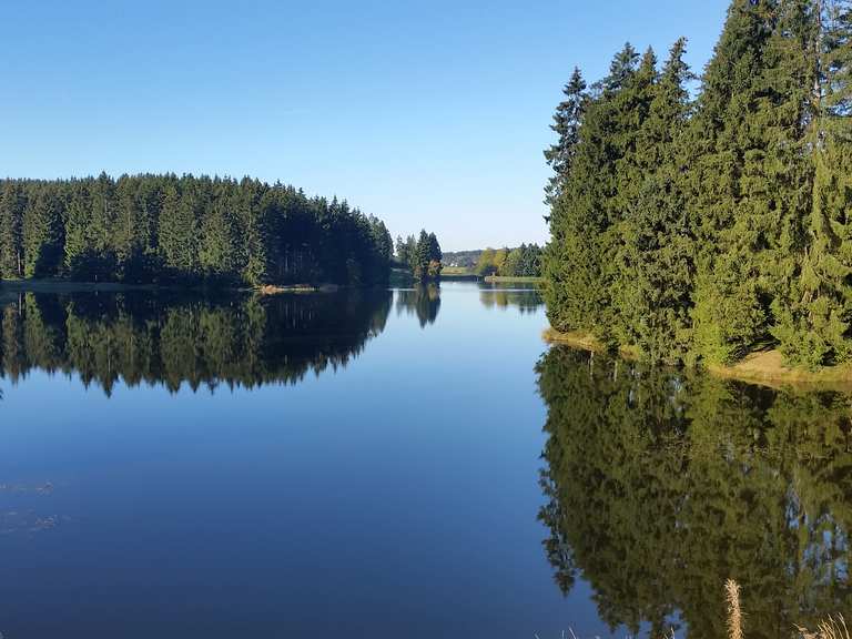Bärenbrucher Teich (HWN 137) wandelroutes en hikes Komoot