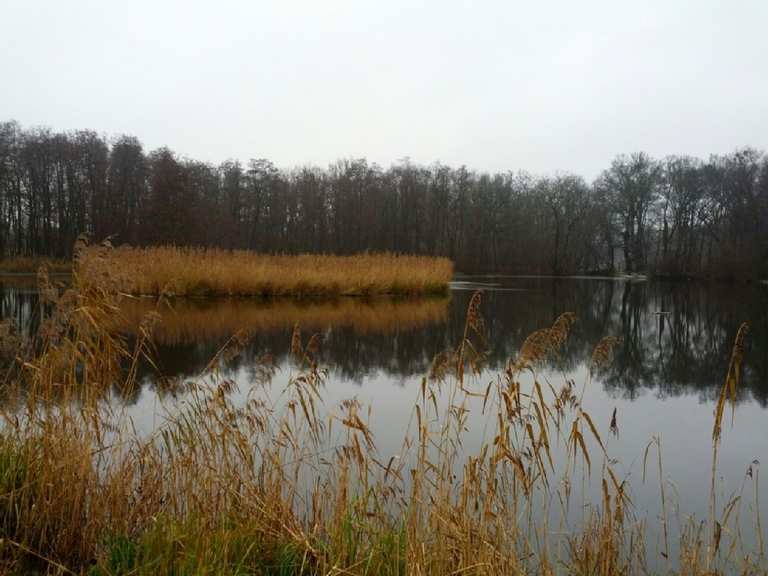 Karpfenteiche Buch: Wanderungen und Rundwege  komoot