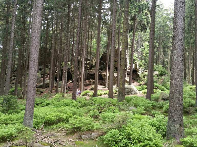 Mauseklippe Schierke Harz Hiking Tips Photos Komoot