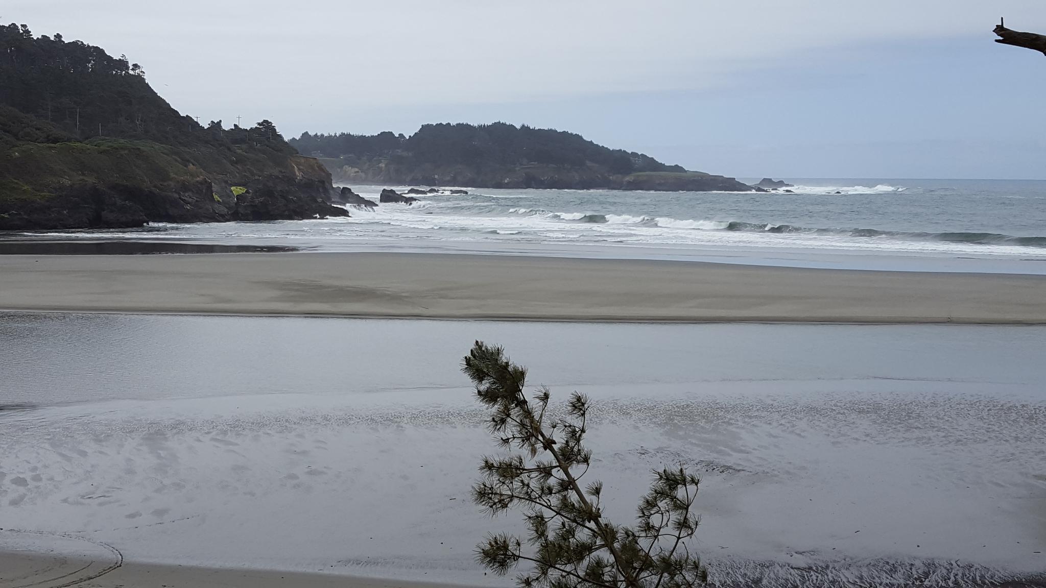 Wide sandy beach with ocean waves and forested hills under a gray sky.