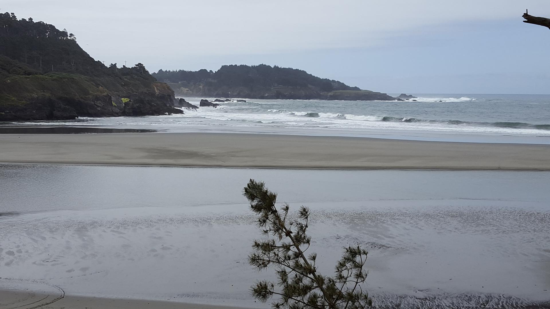 Wide sandy beach with ocean waves and forested hills under a gray sky.