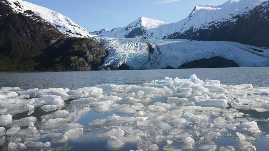 Ice chunks float on water, with a large blue glacier and snowy mountains behind.