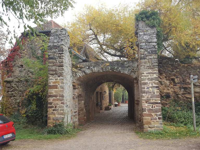 Burg Battenberg Wanderungen und Rundwege komoot