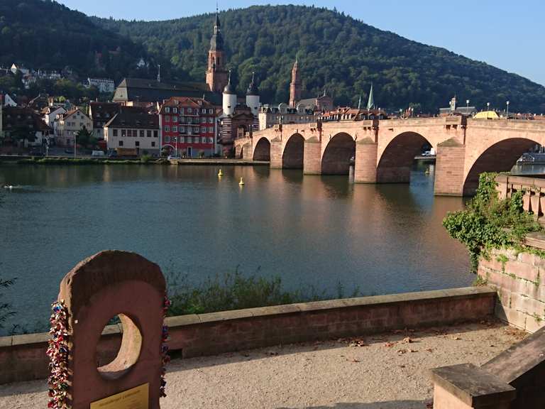 Ladenburg – Alte Brücke Loop from Mannheim Hbf | sortie à VTT | Komoot
