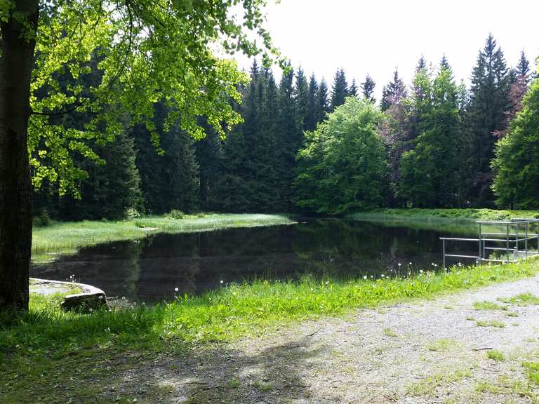 Schwarzer Teich wandelroutes en hikes Komoot