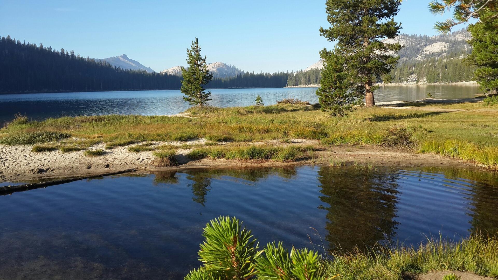 Calm lake with grassy shores, pine trees, and distant mountains on a sunny day.