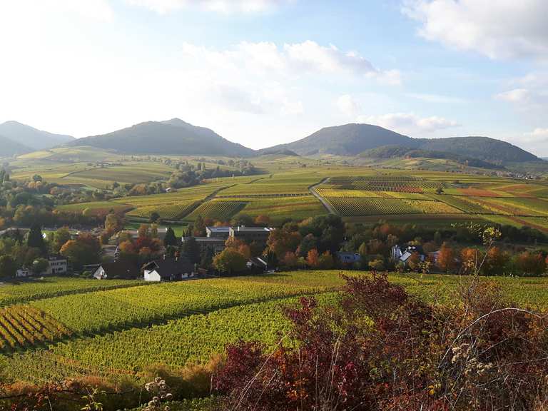 Kleine Kalmit mit Kapelle Wanderungen und Rundwege komoot