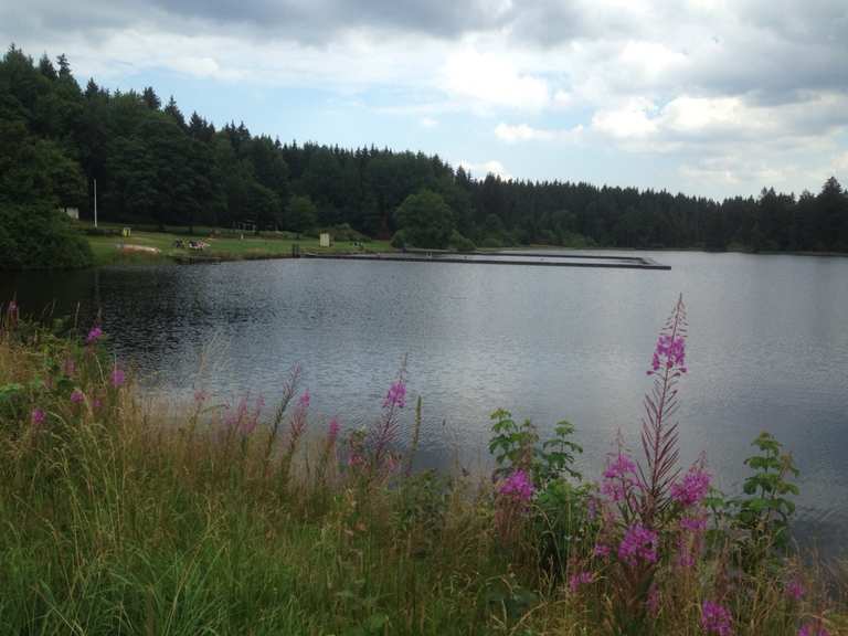 Waldseebad Hausberger Teich Wanderungen und Rundwege komoot