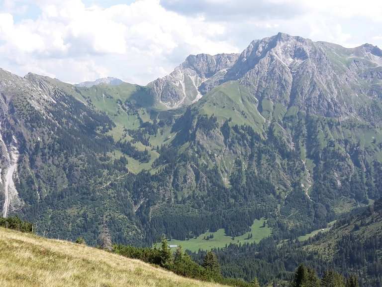 Schnippenkopf Wanderungen und Rundwege komoot
