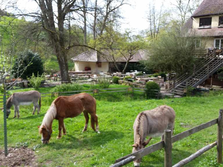 Mäulesmühle Eselsmühle Runde von Musberg Wanderung Komoot