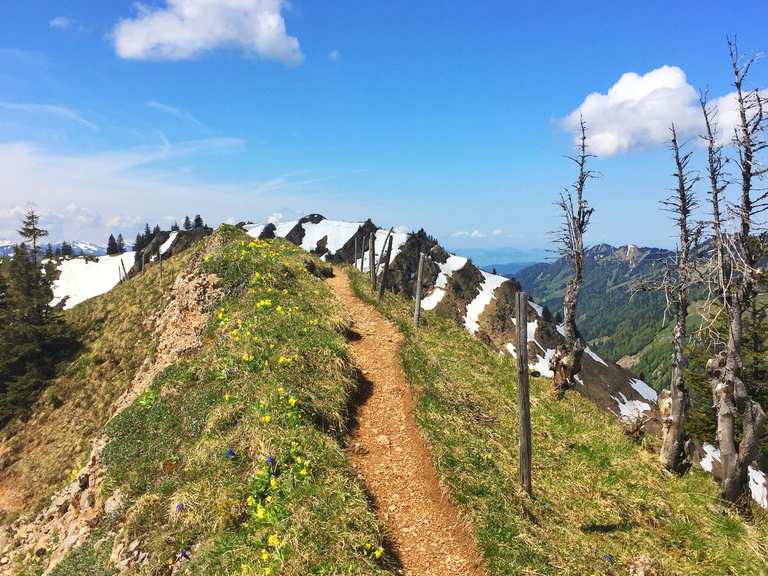 Heidenkopf Touren und Karten komoot