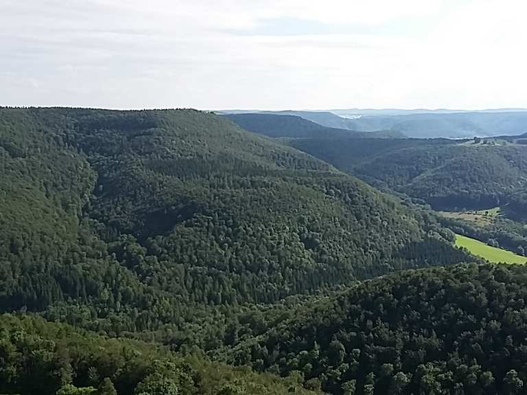 Roßberg mit Aussichtsturm Wanderungen und Rundwege komoot