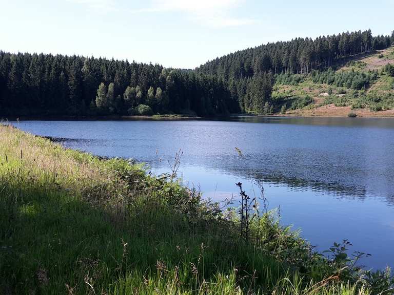 Waldseebad Hausberger Teich wandelroutes en hikes Komoot