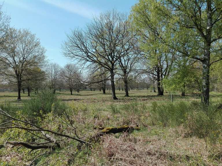 Wahner Heide Rösrath, RheinischBergischer Kreis