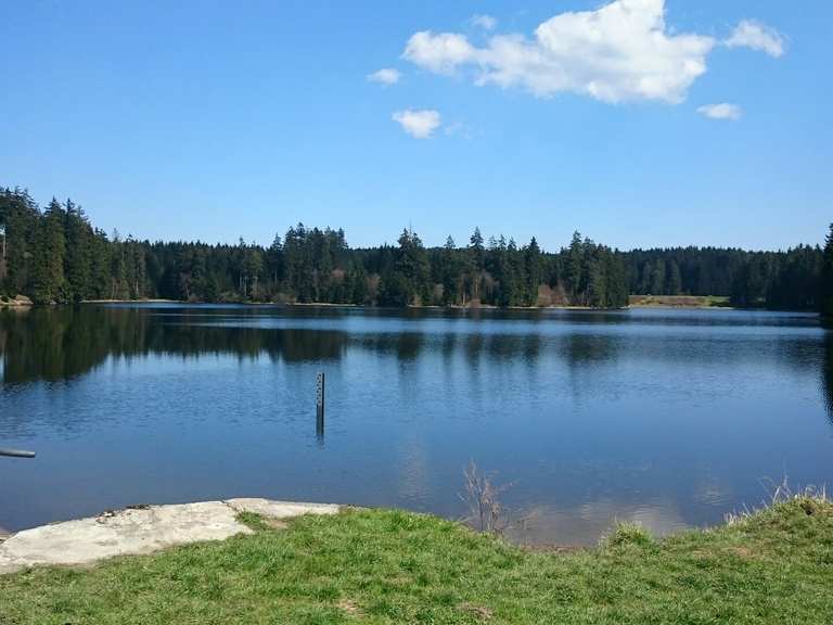 Ziegenberger Teich Wanderungen und Rundwege komoot