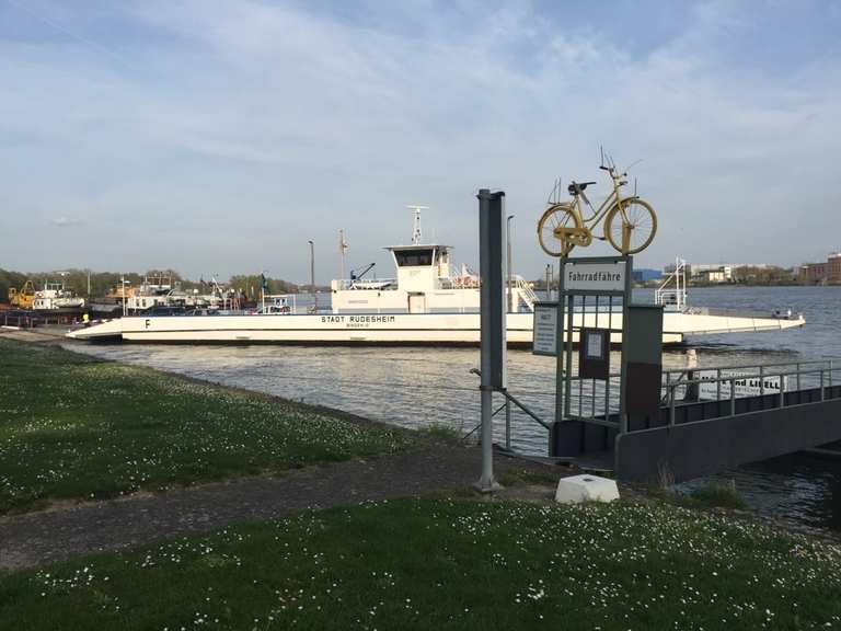 fahrrad und personenfähre budenheim niederwalluf walluf