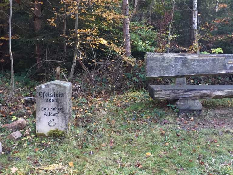 Mann auf den Kopf (Skulptur) Vogelnest (Skulptur) Circuit à partir de Weil im Schönbuch Untere