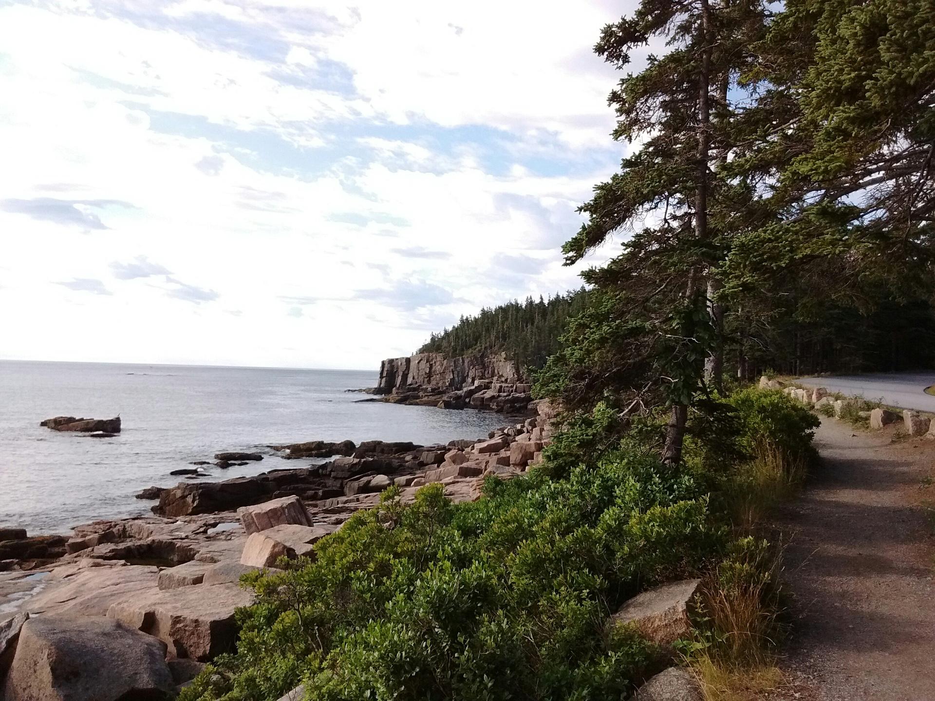 Rocky shoreline with evergreen trees, paved path, and calm ocean under cloudy sky.