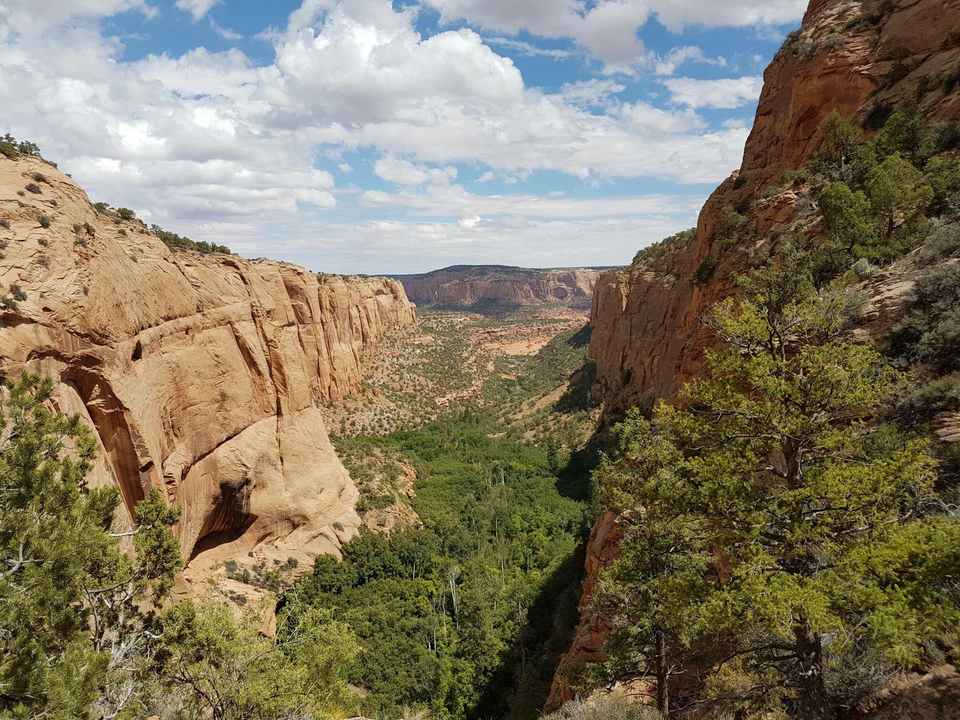 Deep canyon with lush green vegetation and towering sandstone rock walls.