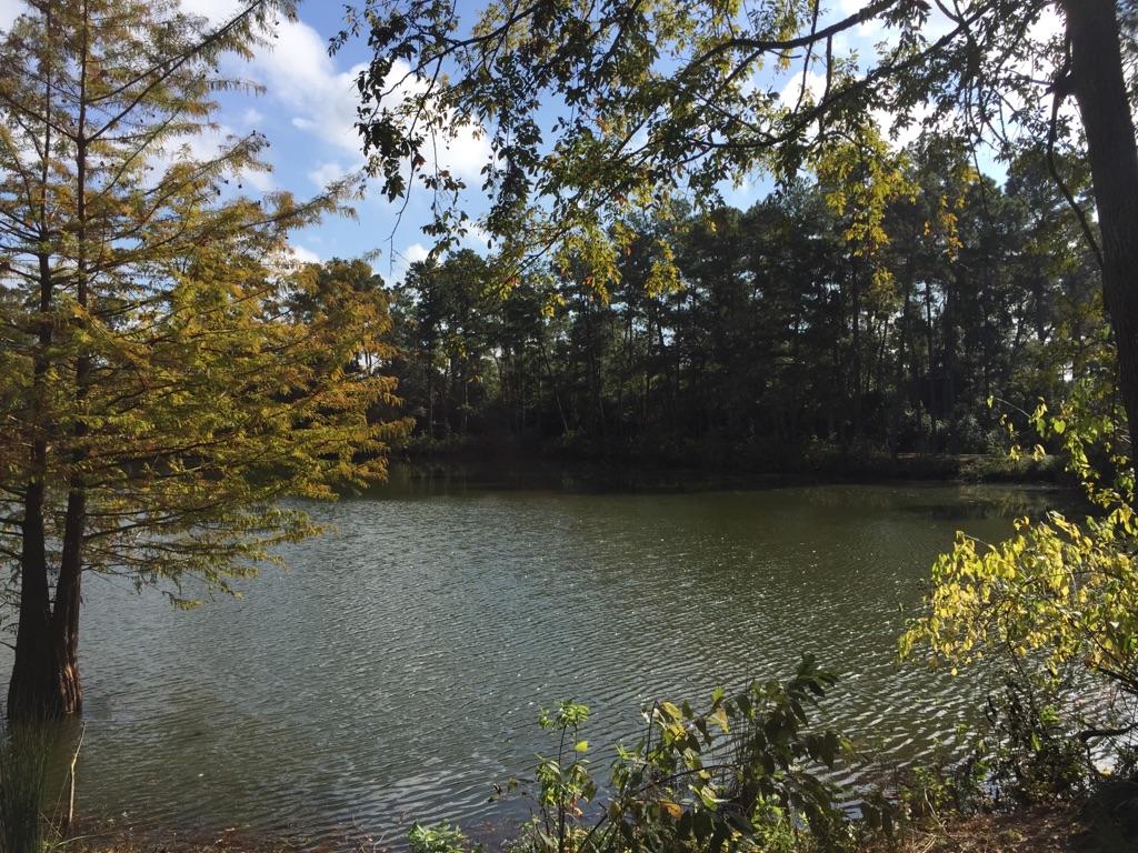 Serene lake surrounded by dense green forest under a partly cloudy sky.