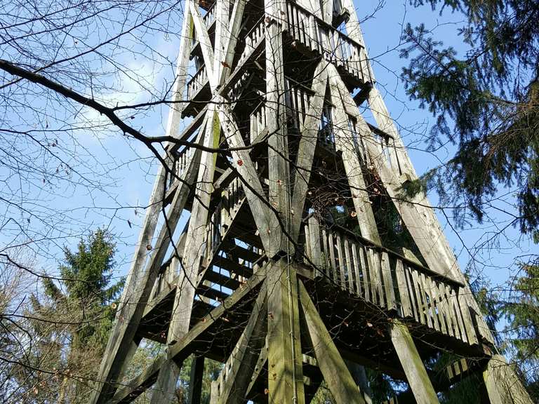Hahnheider Turm (Großer Hahnheider Berg) Wanderungen und Rundwege komoot