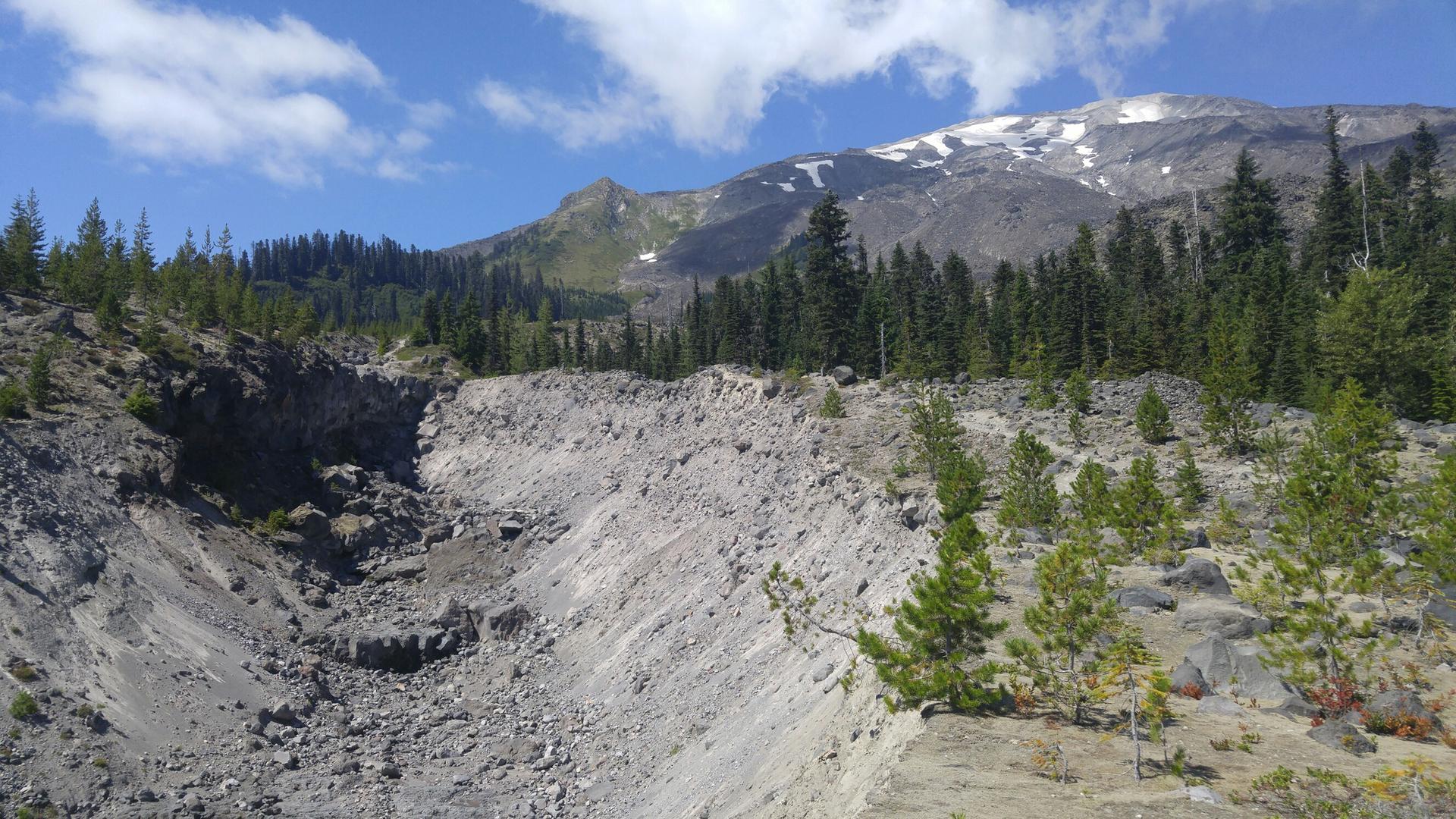 Rocky gully with sparse trees and a distant snow-capped mountain.