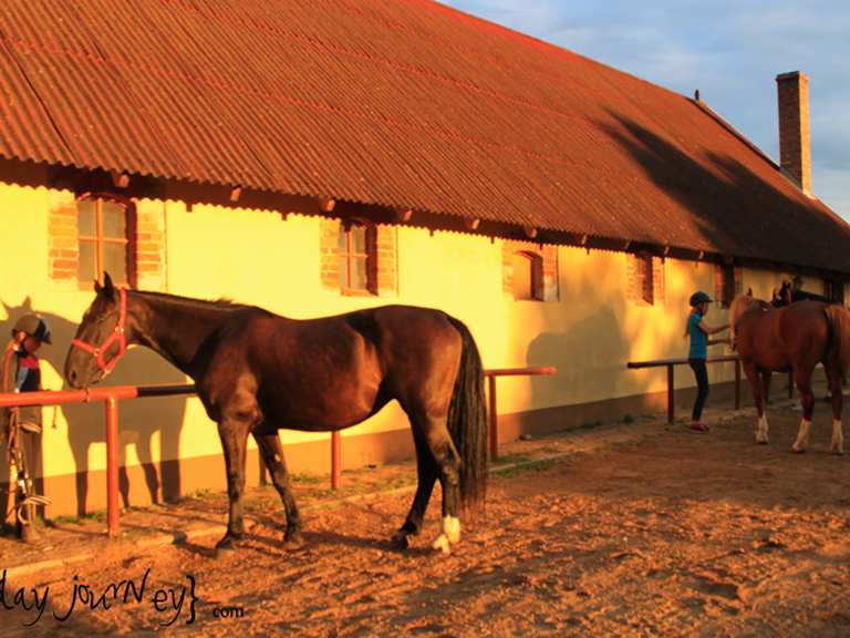 Horse ranch 