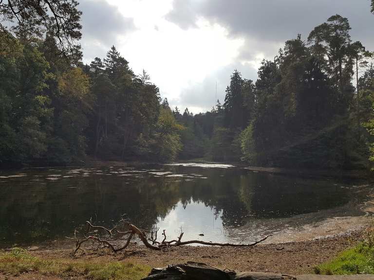 Donoper Teich Wanderungen und Rundwege komoot