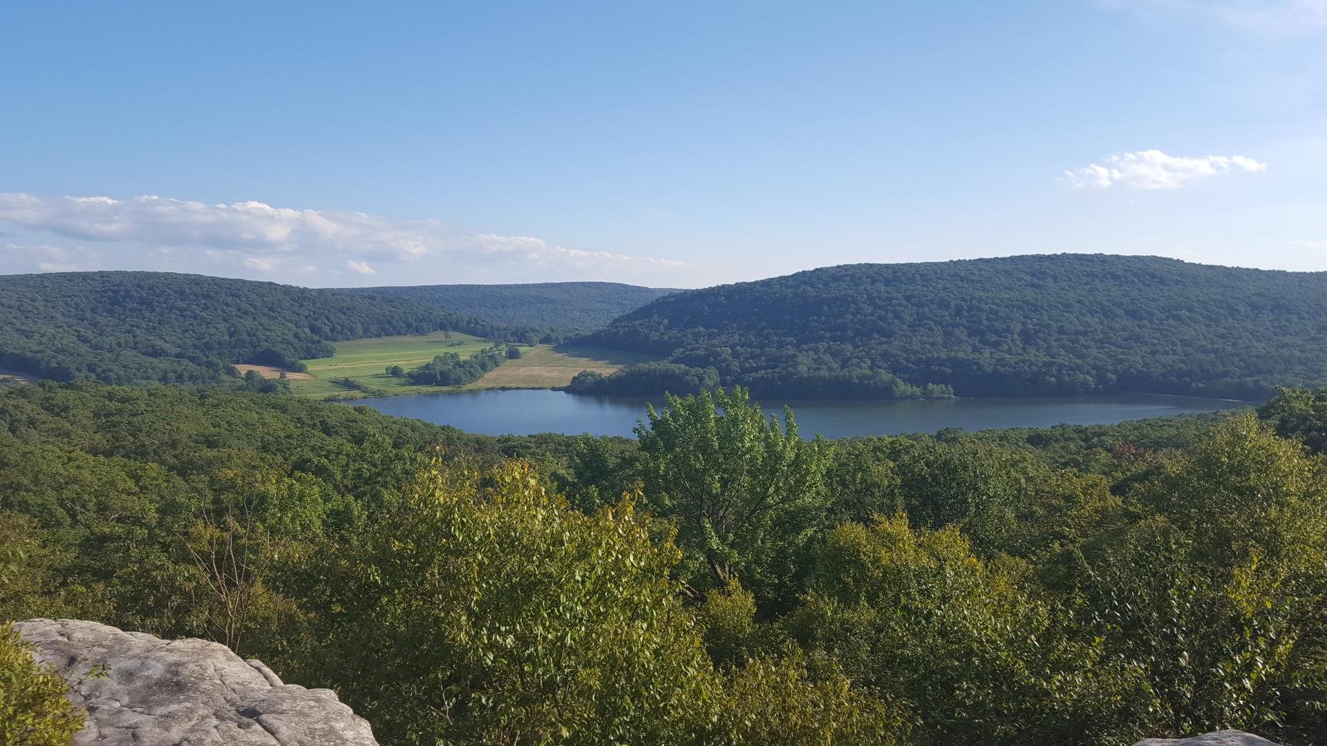 Expansive view of a calm lake surrounded by dense green forests and hills.