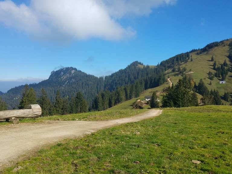 Piesenhausener Hochalm Wanderungen und Rundwege komoot