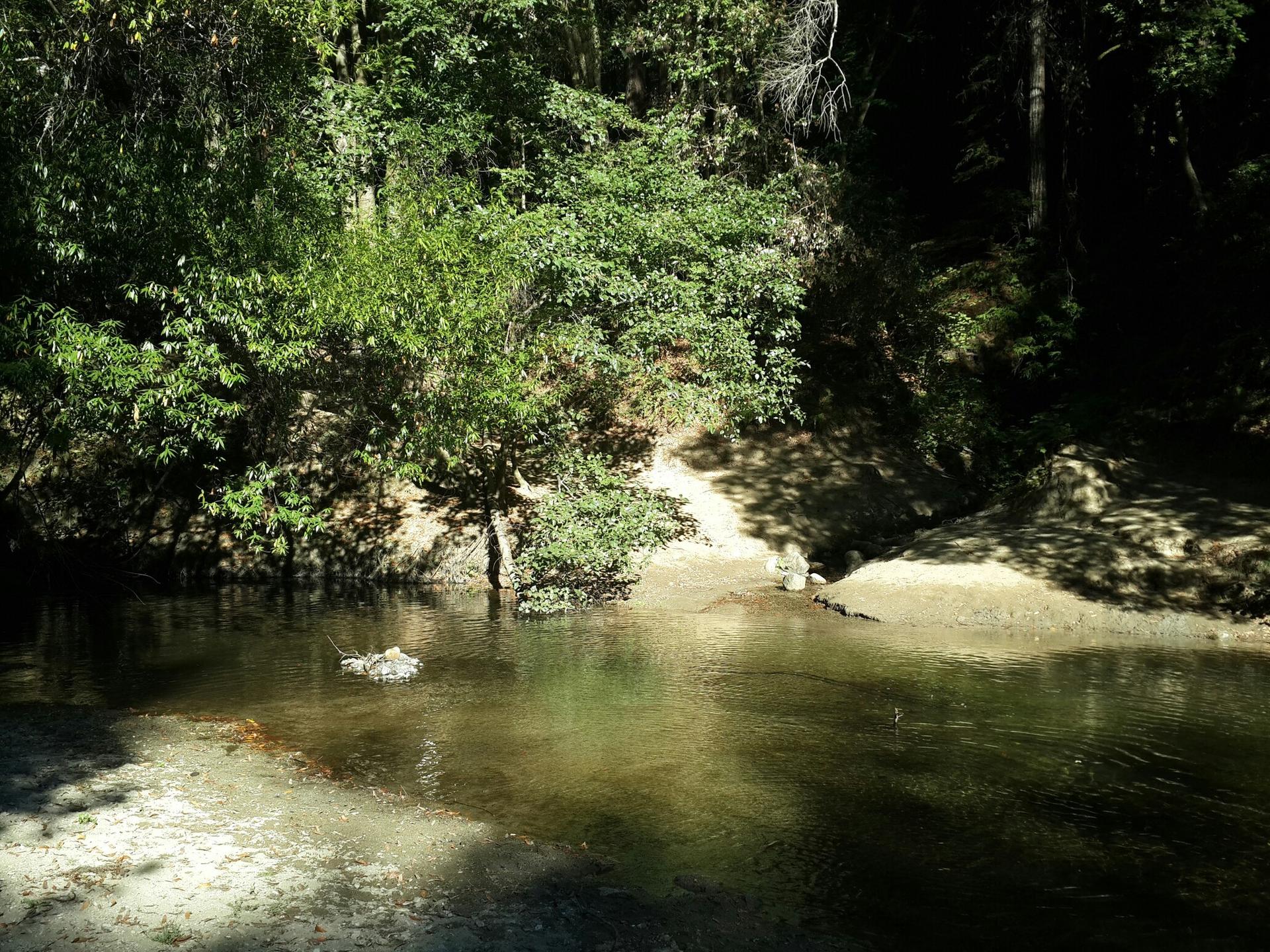 A shaded river with sandy banks, surrounded by dense green foliage.