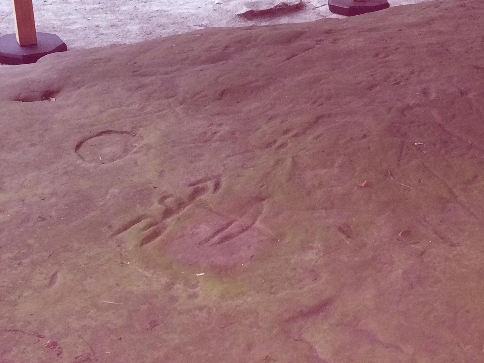 Reddish-brown rock surface with carved symbols and circular depressions under natural light.