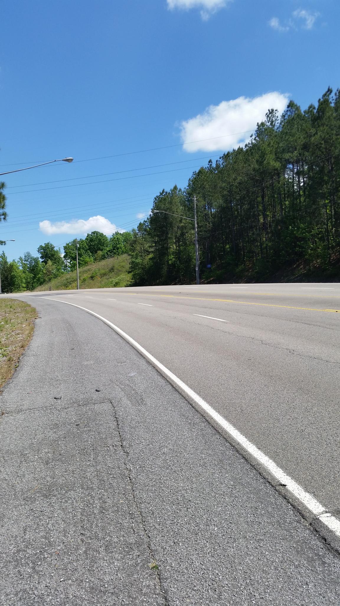 Sunny day on a curving road next to a dense pine forest.