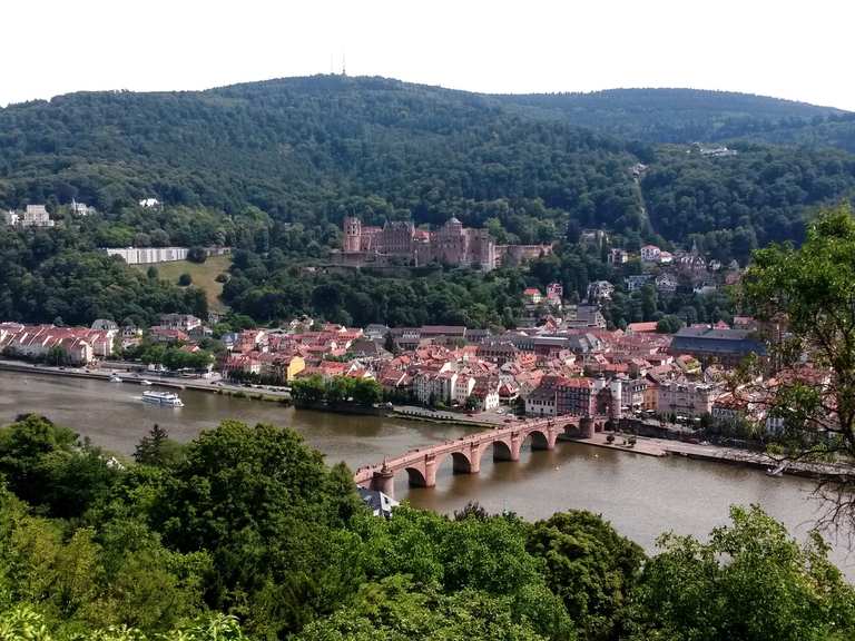 Philosophenweg Heidelberg Routes for Walking and Hiking | Komoot