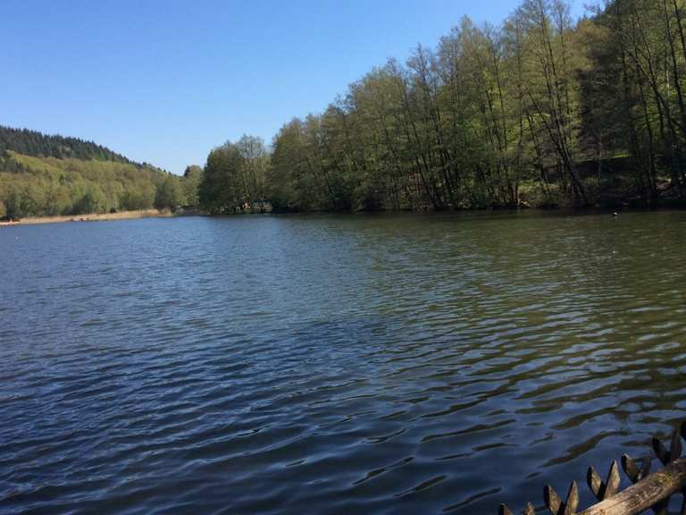 Gelterswoog MountainbikeTouren und Trails komoot