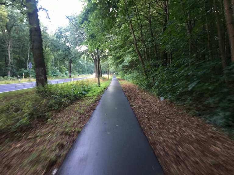 Glienicker Brücke – Havelradweg Loop from Wannsee | road ride | Komoot