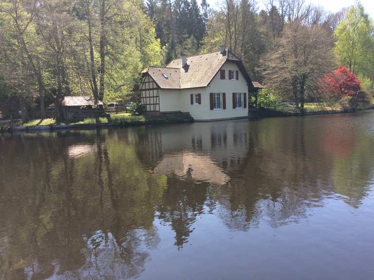 Sägmühlweiher (Dorfweiher) Wanderungen und Rundwege komoot