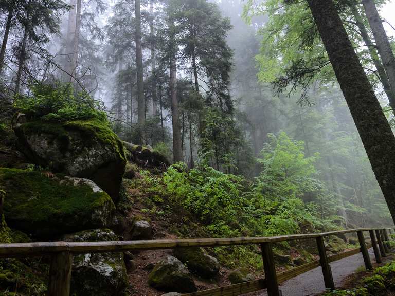Triberger Wasserf lle Routes for Walking and Hiking Komoot